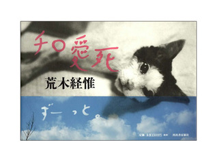 チロ愛死 (Hardcover)