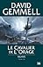 Le Cavalier de l'Orage (Rigante #4)
