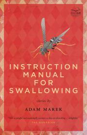Instruction Manual for Swallowing (Paperback)