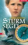 Sturmsegel
