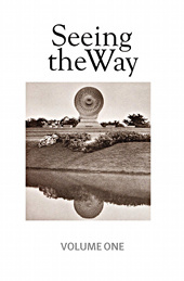 Seeing The Way (Paperback)
