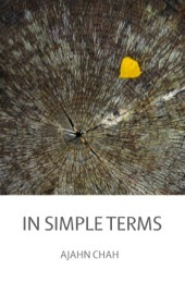In Simple Terms (Paperback)