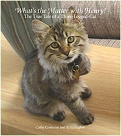 What's the Matter with Henry? The True Tale of a Three-legged Cat