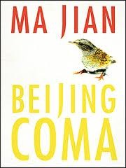 Beijing Coma