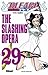 Bleach, Tome 29: The Slashing Opera