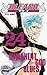 Bleach, Tome 24: Immanent God Blues