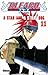 Bleach, Tome 11: A Star and a Stray Dog