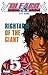 Bleach, Tome 5: Rightarm of the Giant