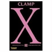 X, Volume 20 (Paperback)