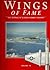 Wings of Fame, The Journal of Classic Combat Aircraft - Vol. 19