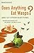 Does Anything Eat Wasps?: A...