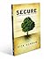 Secure: Discovering True Security in Turbulent Financial Times