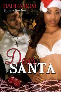 Dear Santa (Kindle Edition)