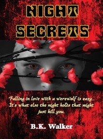 Night Secrets
