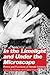 In the limelight and under the microscope: forms and functions of female celebrity