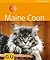 Maine Coone