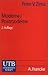 Moderne/Postmoderne: Gesellschaft, Philosophie, Literatur