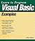 Learn to Program Visual Basic Examples