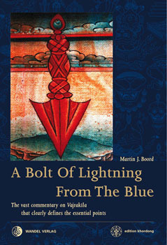 A Bolt of Lightning from the Blue (Hardcover)