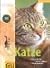 Katze