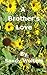 A Brother's Love