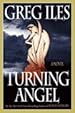 Image for Turning Angel