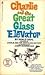 Charlie and the Great Glass Elevator (Charlie Bucket, #2)