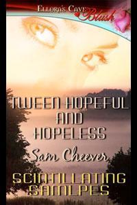 'Tween Hopeful and Hopeless (Bedeviled & Beyond #4.5)