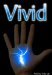 Vivid by Andrea   Murray