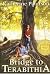 download Bridge to Terabithia