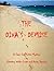 The Diva's Demise:  A Cape Cod Crime Mystery