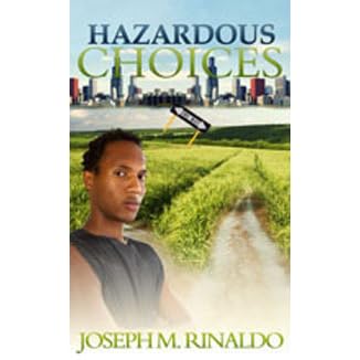 Hazardous Choices By Joseph Rinaldo