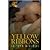 Yellow Ribbons by Caitlyn Willows