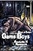 Game Boys by Rochelle H. Ragnarok