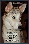 Training Your Dog to be Home Alone