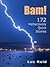BAM! 172 Hellaciously Quick Stories