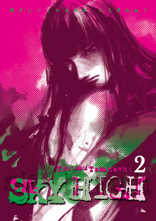 Sky High, Volume 2 (Paperback)