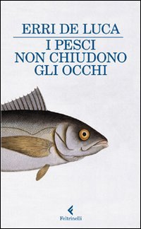 I pesci non chiudono gli occhi (Paperback)