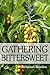 Gathering Bittersweet