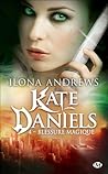 Blessure magique by Ilona Andrews