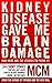 Kidney Disease Gave Me Brain Damage