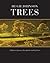 Trees by Hugh Johnson