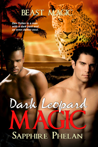 Dark Leopard Magic (Kindle Edition)