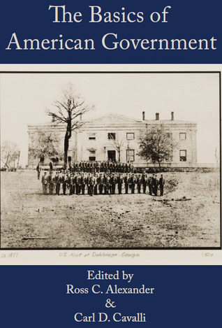 The Basics of American Government (Paperback)