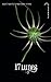 17 Lunes (Le Livre des Lunes, #2)
