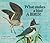 What Makes a Bird a Bird?