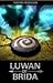 INKREDIA - Luwan Of Brida by Sarang Mahajan