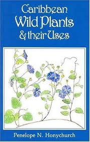 Caribbean Wild Plants and their Uses (Paperback)