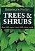 Trees & Shrubs (Botanica's Pocket Series)