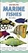 Guide to Marine Fishes (Fishkeeper's Guides)